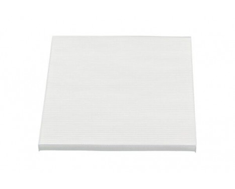 Filter, interior air NC-2045 AMC Filter