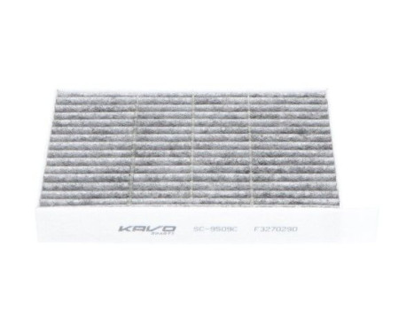 Filter, interior air SC-9509C AMC Filter