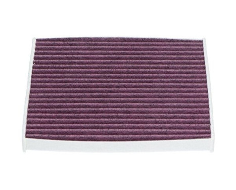 Filter, interior air SC-9510X AMC Filter