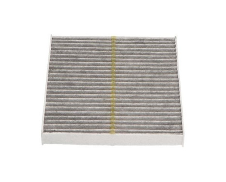 Filter, interior air SC-9515X AMC Filter