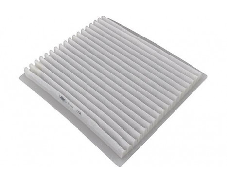 Filter, interior air TC-1006 AMC Filter