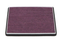 Filter, interior air TC-1006X AMC Filter