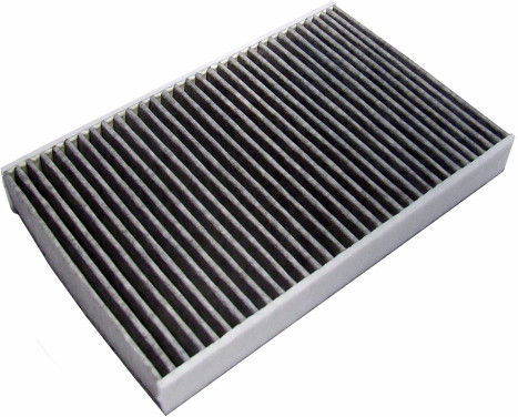 Filter, interior air TSP0325333C Delphi