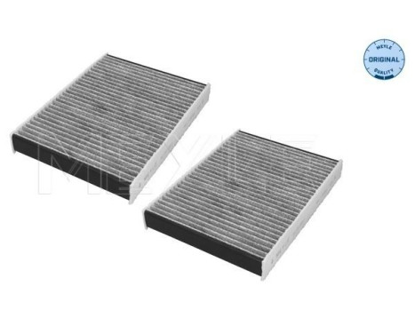 Interior filter 312 320 0029/S Meyle