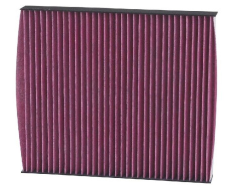 Interior filter DVF5002 K&N