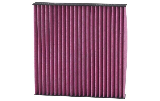 Interior filter DVF5049 K&N