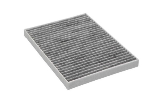 Interior filter FCA-10031C Kavo parts, Image 2