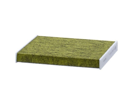 Interior filter FP 29 010 Mann