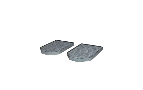 Interior filter K 1069A-2x Filtron