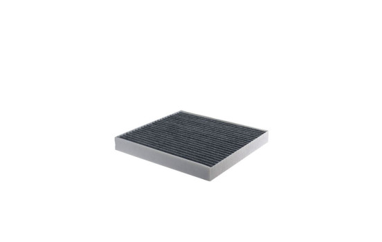 Interior filter K 1161A Filtron