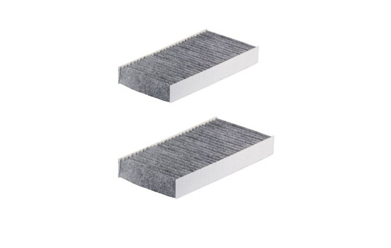 Interior filter K 1198A-2x Filtron