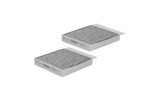 Interior filter K 1455A-2x Filtron