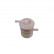 Fuel filter ADK82301 Blue Print