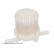 Fuel filter ADM52301 Blue Print, Thumbnail 2