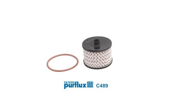 Fuel filter C489 Purflux
