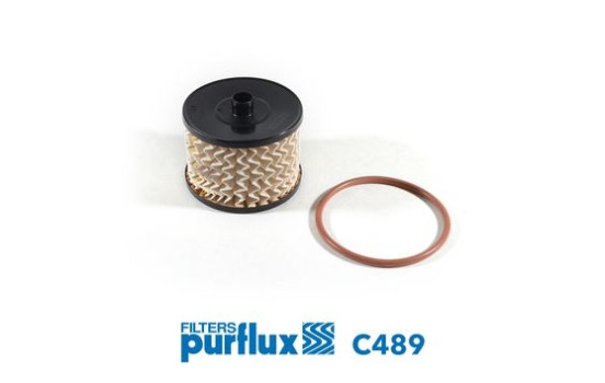 Fuel filter C489 Purflux