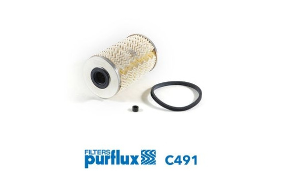 Fuel filter C491 Purflux