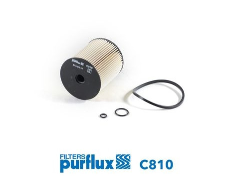Fuel filter C810 Purflux