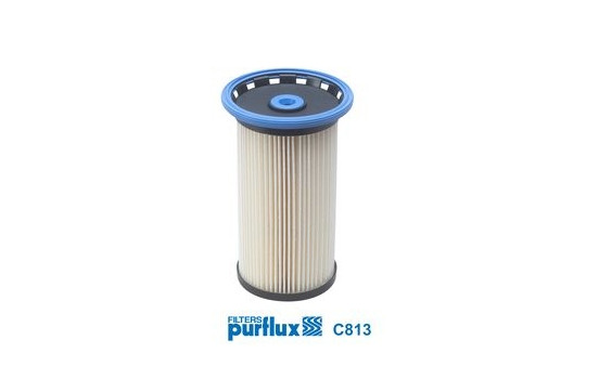 Fuel filter C813 Purflux