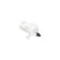 Fuel filter KF-1571 AMC Filter, Thumbnail 4