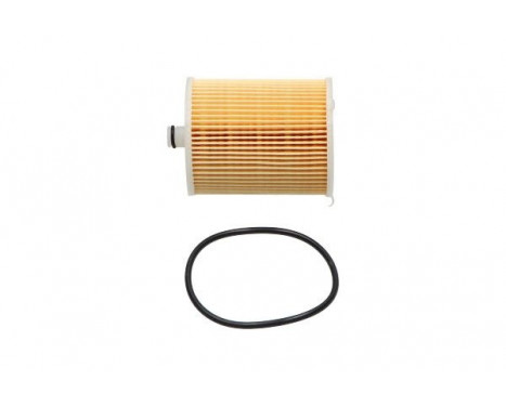 Fuel filter TF-1970 AMC Filter, Image 2