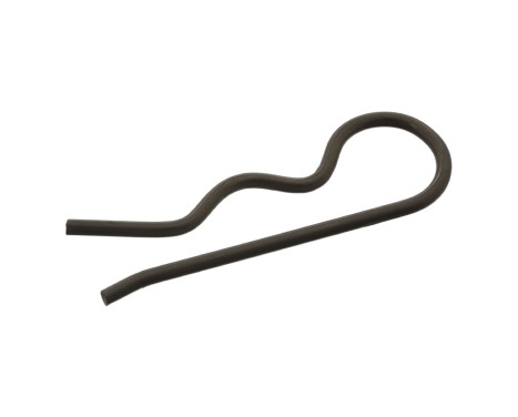 Spring Split Pin, fuel filter (thermostat)