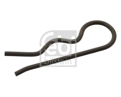 Spring Split Pin, fuel filter (thermostat), Image 2