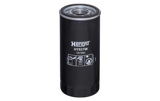 Filter, hydraulics