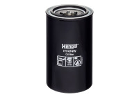 Filter, hydraulics