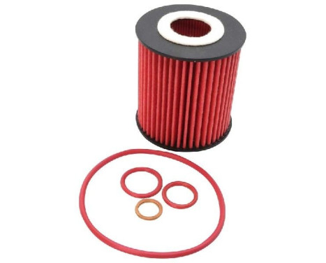 K&N Oil Filter - High Performance Series suitable for BMW (HP-7054) K&N, Image 2