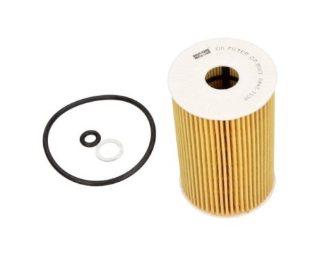 Oil Filter 26-0553 Maxgear