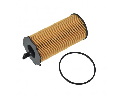 Oil Filter ADA102116 Blue Print