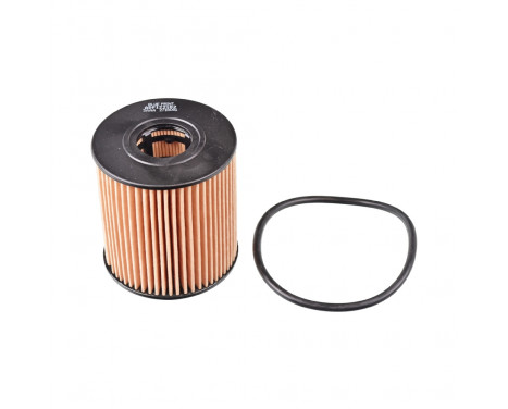 Oil Filter ADF122102 Blue Print