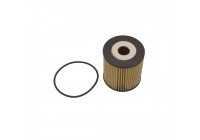 Oil Filter ADF122113 Blue Print