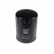 Oil Filter ADJ132117 Blue Print