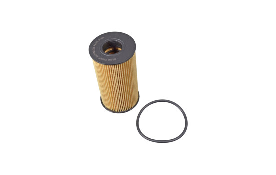 Oil Filter ADJ132128 Blue Print