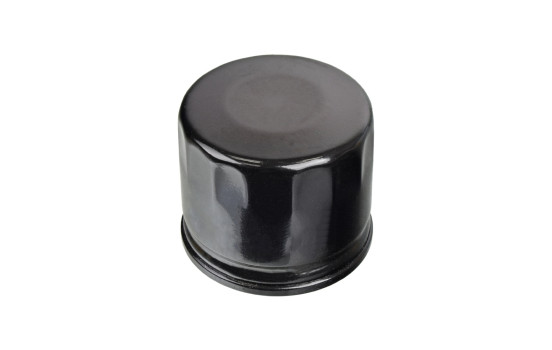 Oil Filter ADL142113 Blue Print