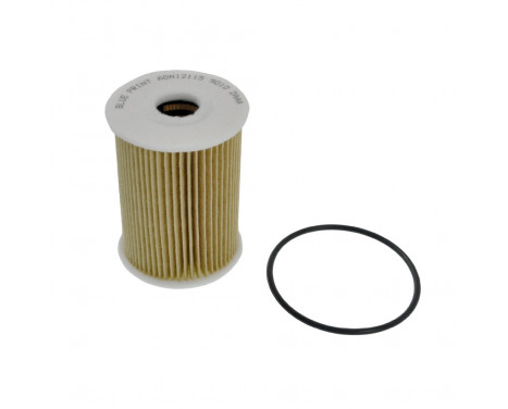 Oil Filter ADN12115 Blue Print