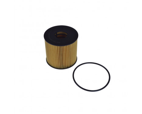 Oil Filter ADN12120 Blue Print