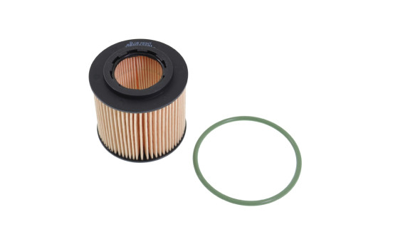 Oil Filter ADV182101 Blue Print