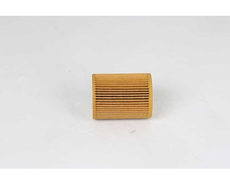 oil filter BSG 15-140-004