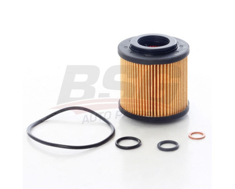 oil filter BSG 15-140-015
