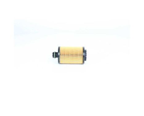 oil filter BSG 16-140-004