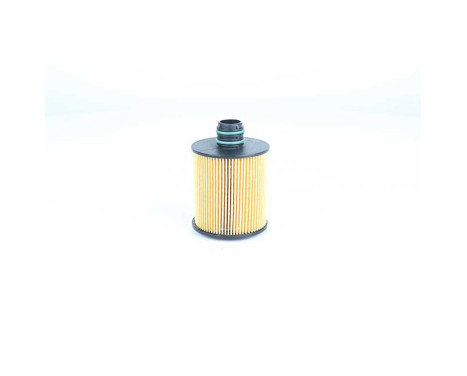 oil filter BSG 25-140-004