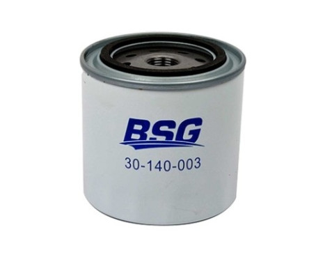 oil filter BSG 30-140-003