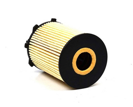 oil filter BSG 30-140-008