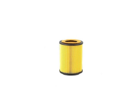 oil filter BSG 40-140-001