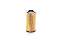 oil filter BSG 40-140-010