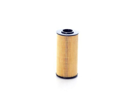 oil filter BSG 40-140-010