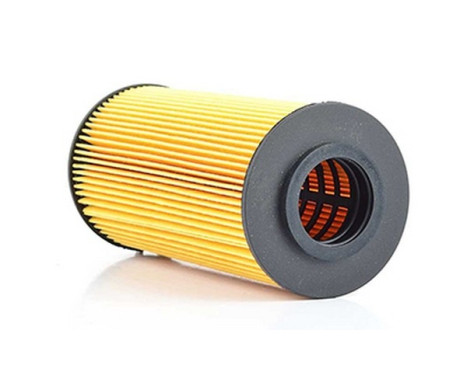 oil filter BSG 60-140-001